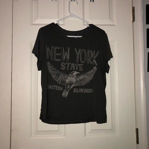 American Eagle soft and sexy cropped t-shirt